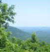 View of Lake Tillary from the top of Morrow Mountain